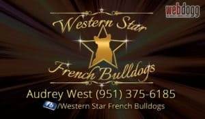 western_french_bulldogs