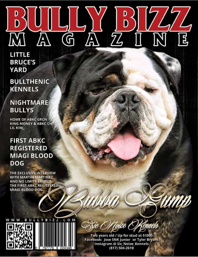 bullybizz_magazine_webdogg
