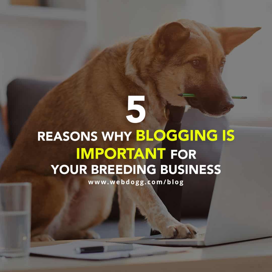 5 Reasons Why Blogging is Important for Your Breeding Business