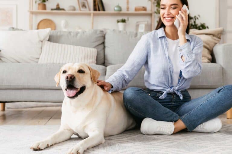 A woman pets her Labrador retriever while talking on the phone.