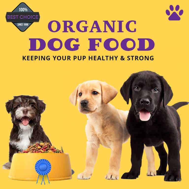 organic-pet-food-webdogg
