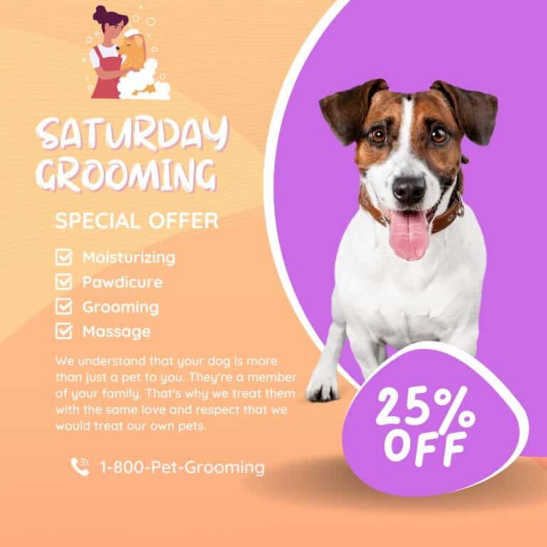 pet grooming offer webdogg